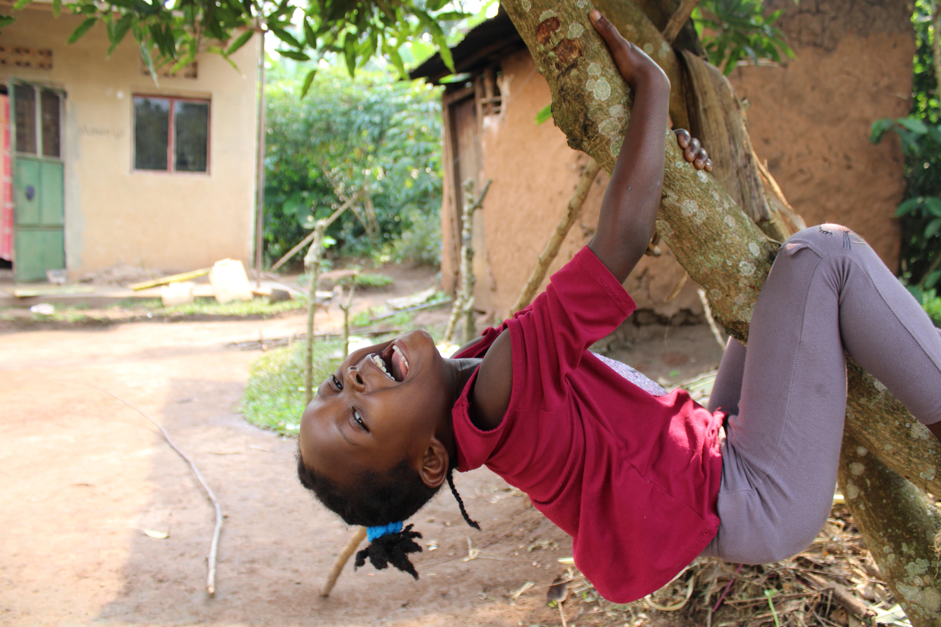 A girl is hanging upside down from a tree branch and laughing