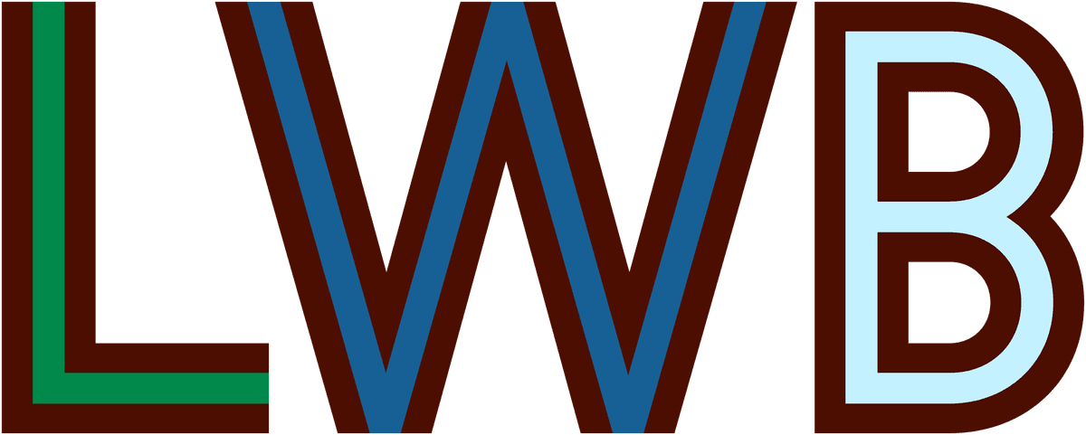 Love Without Boundaries logo